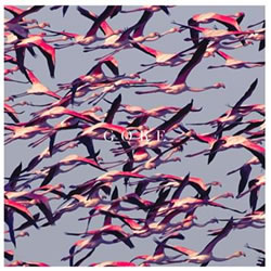 Cover de "Gore" nuevo disco de Deftones