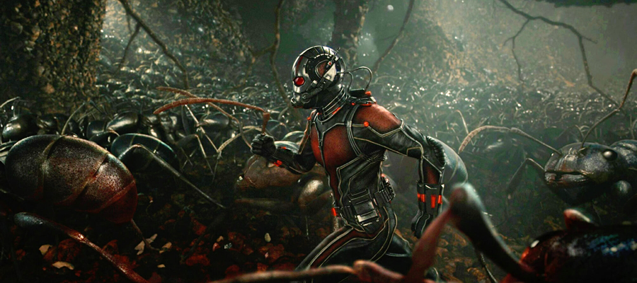 Saga Avengers - Ant-Man (2015)