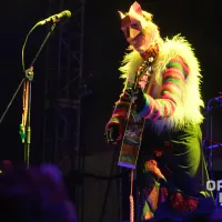 Aterciopelados en Cosquin Rock Colombia