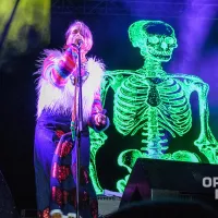 Aterciopelados en Cosquin Rock Colombia