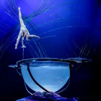 Amaluna del Cirque Du Soleil está de temporada en Bogotá. Ph. David Martin