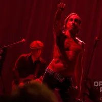 Iggy Pop por primera vez en concierto en Colombia